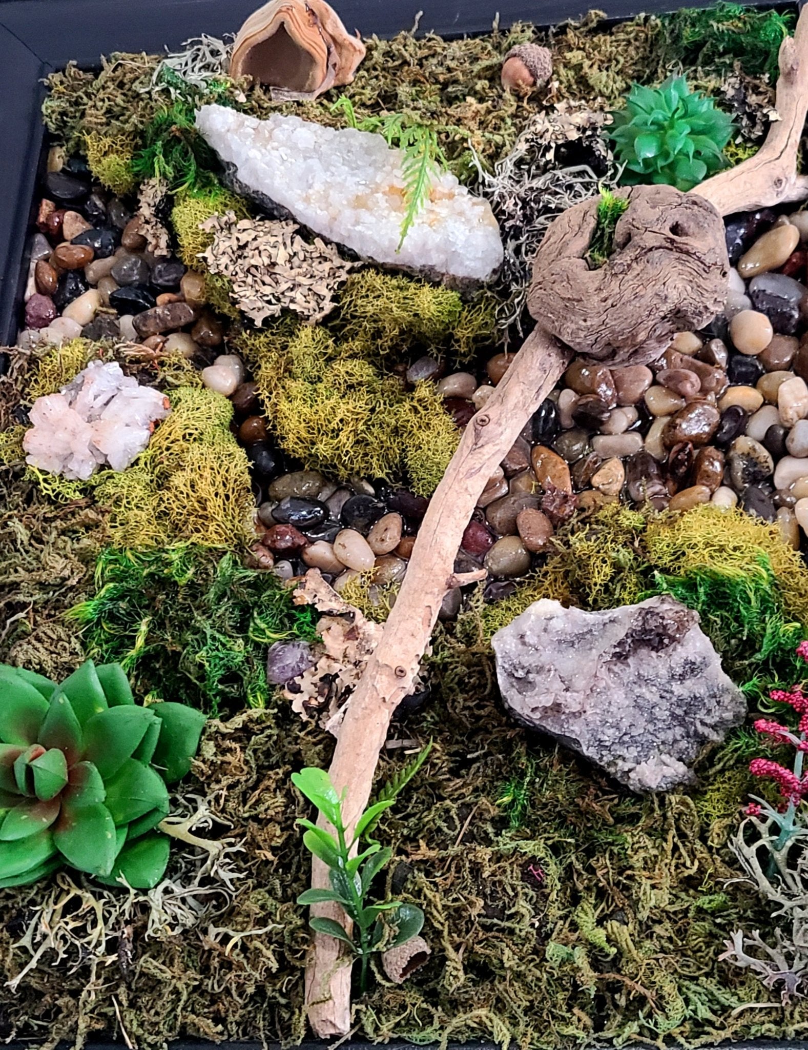 Fairy Wishes : Biophilic Moss Art - Earth's Emporium