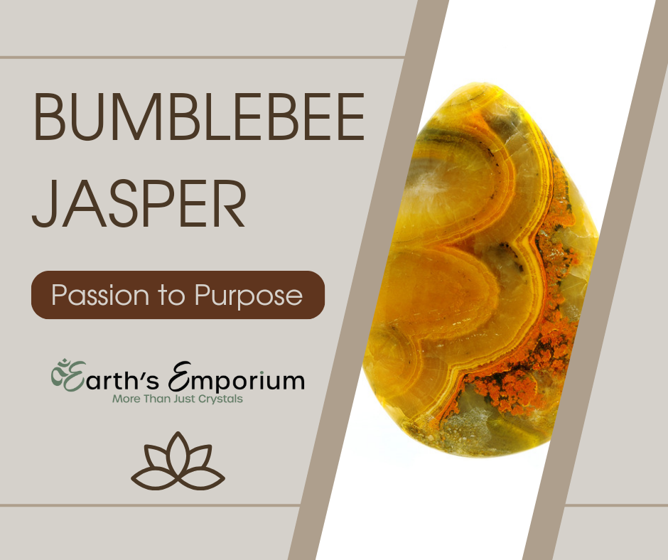Bumblebee Jasper: From Passion to Purpose