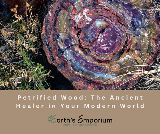 Petrified Wood: The Ancient Healer in Your Modern World