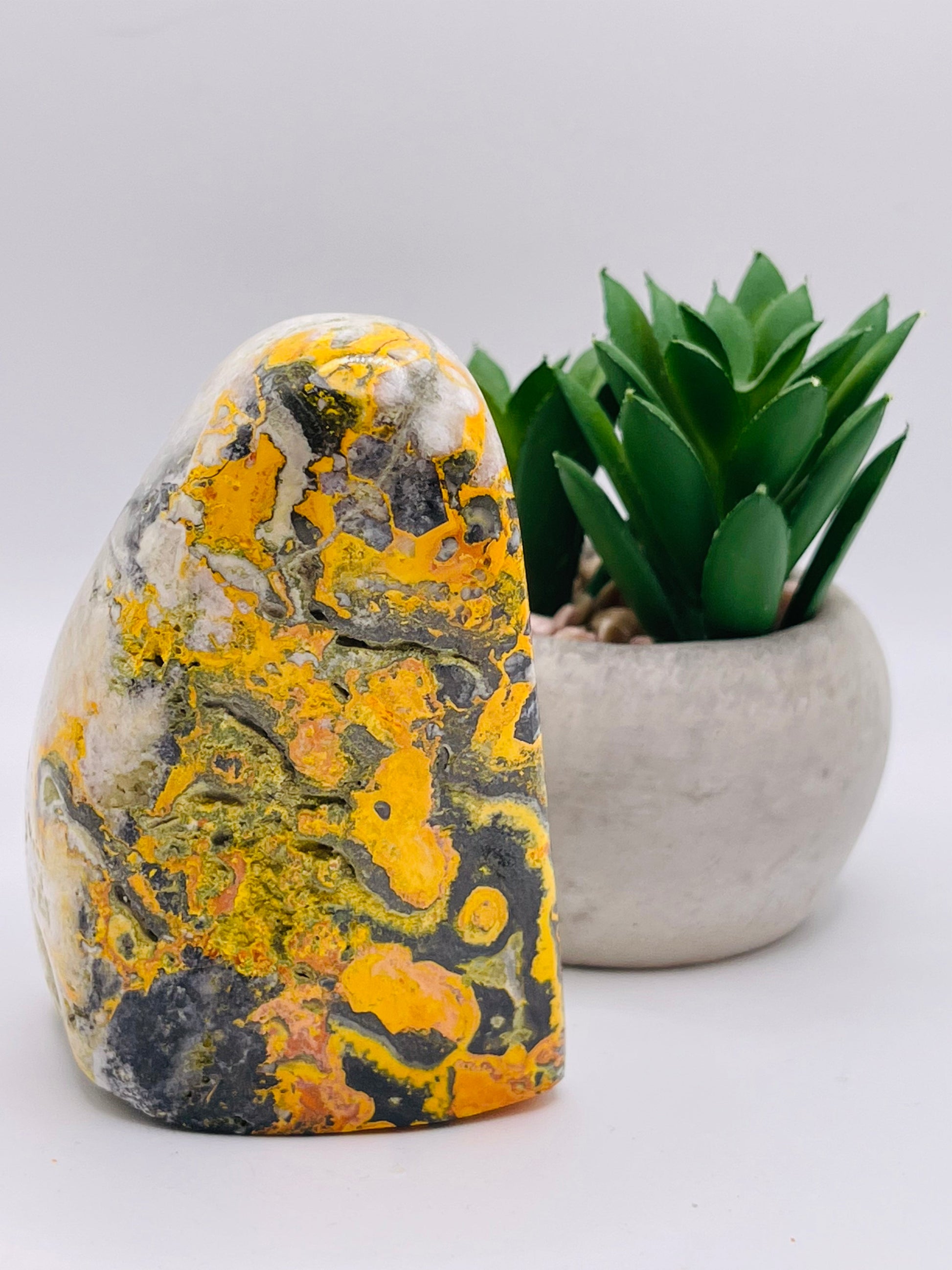 bumblebee jasper 