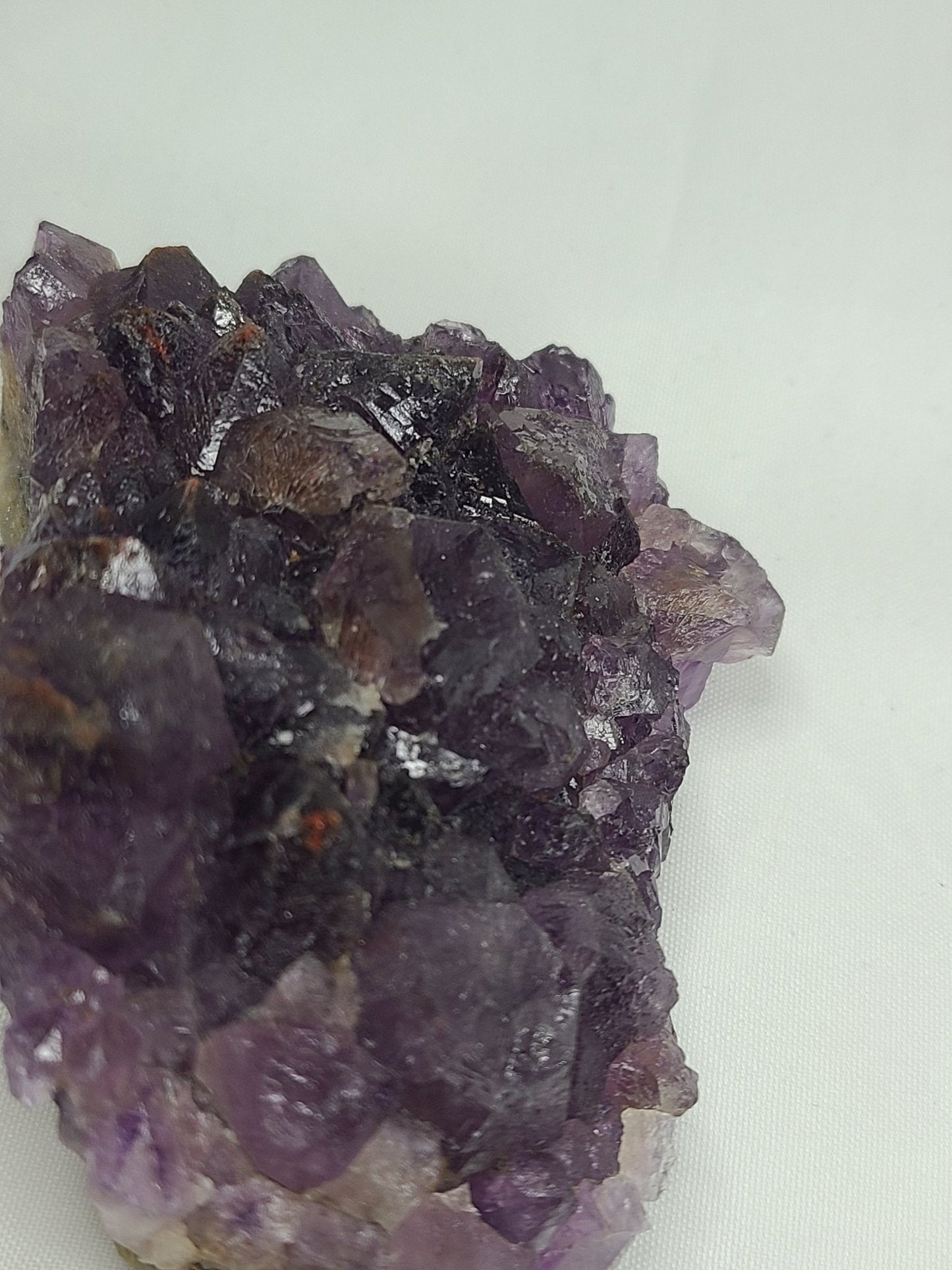 Auralite 23 with Jasper Host - Earth's Emporium