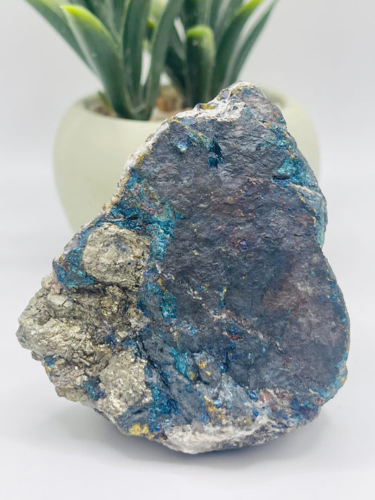 Bornite with Pyrite