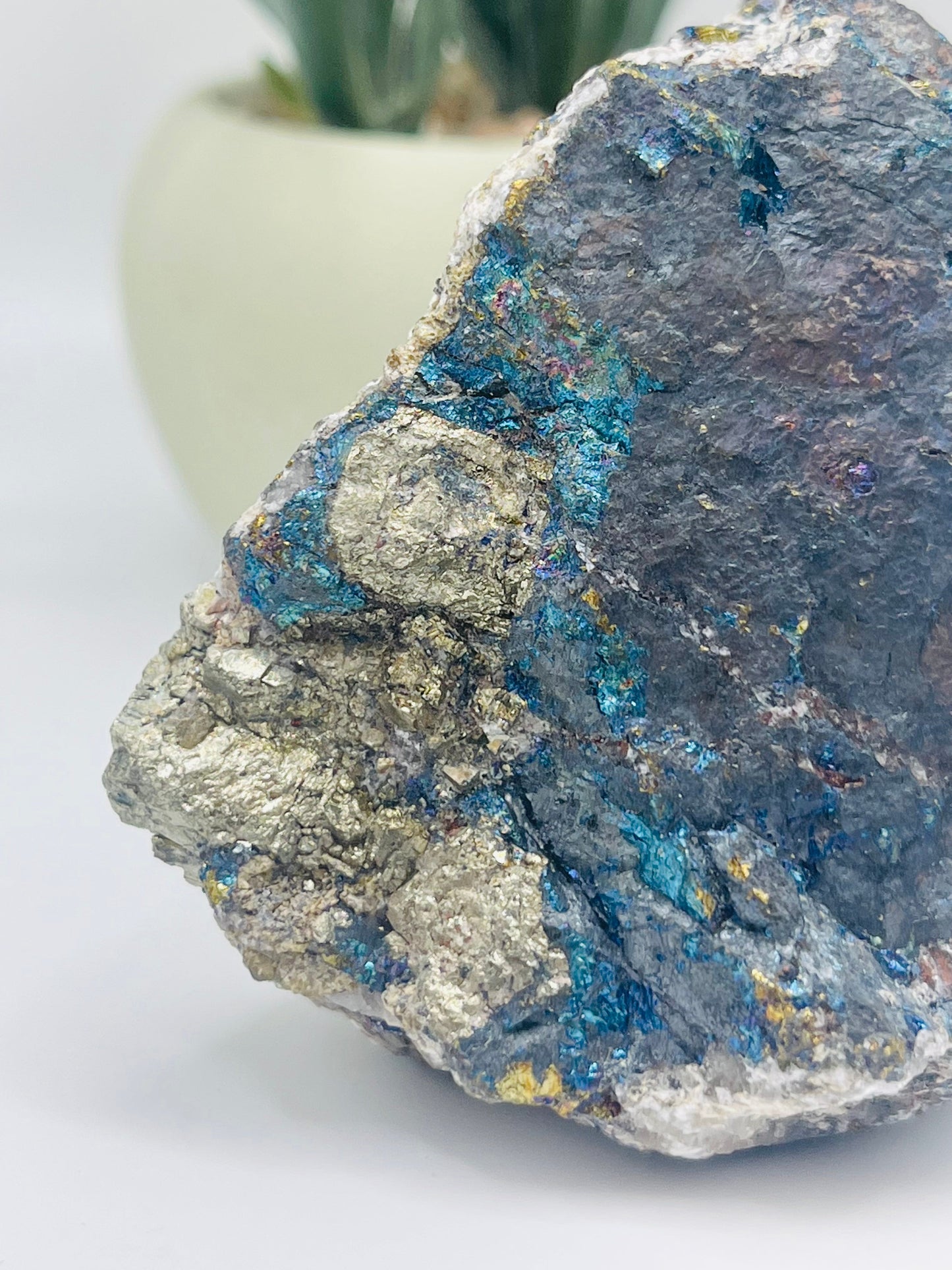 Bornite with Pyrite