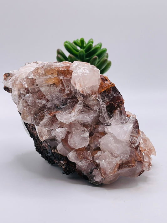 red Apophyllite 