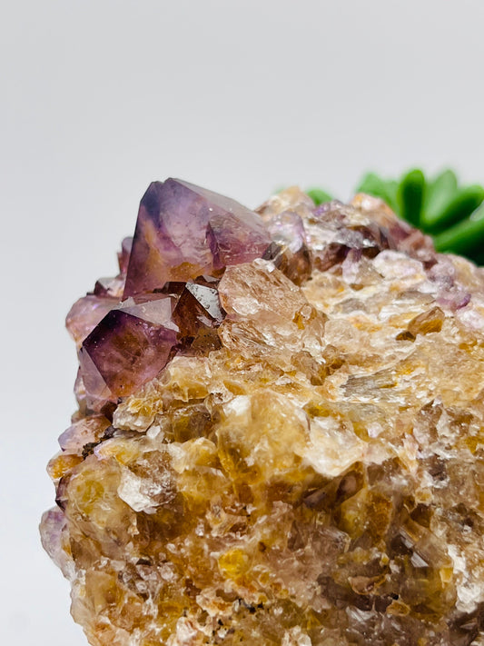 Citrine and Thunder Bay Amethyst