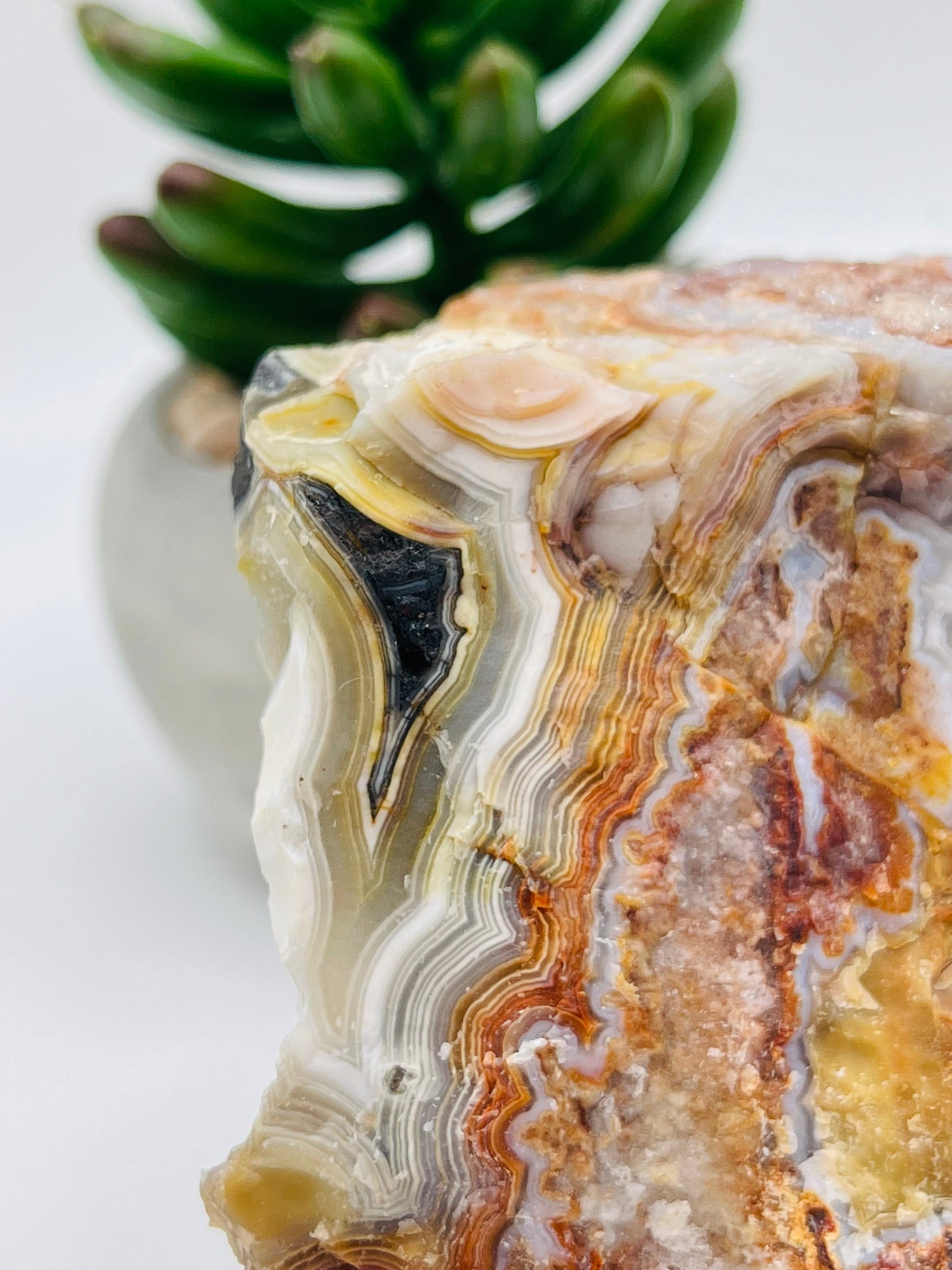 Raw Rincon Lace Agate