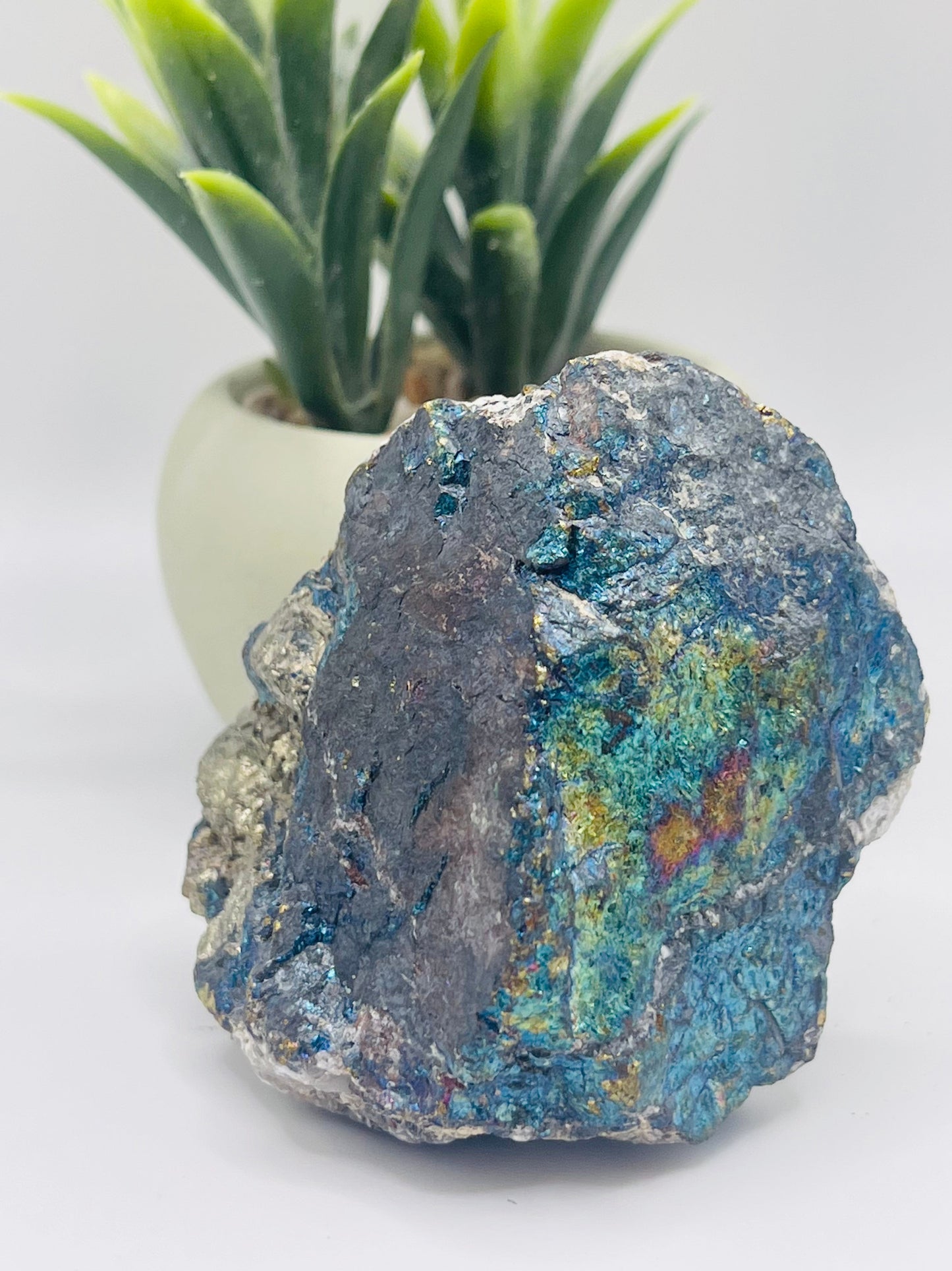 Bornite with Pyrite