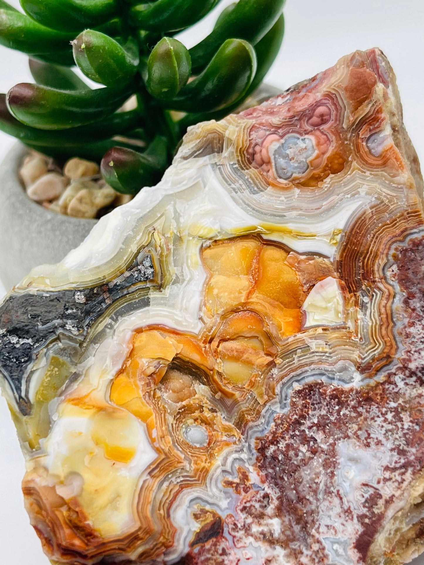 Raw Rincon Lace Agate