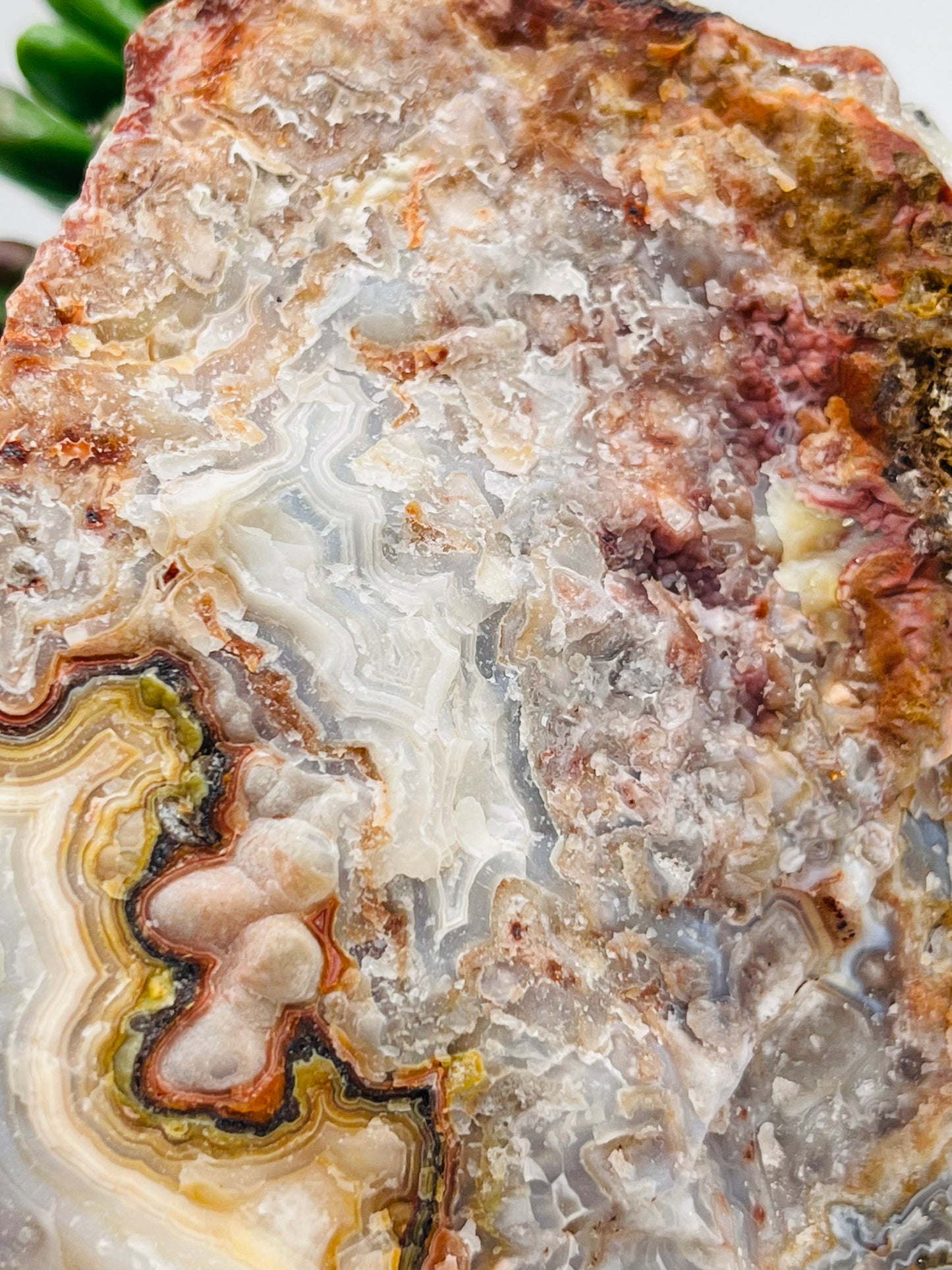 Raw Rincon Lace Agate