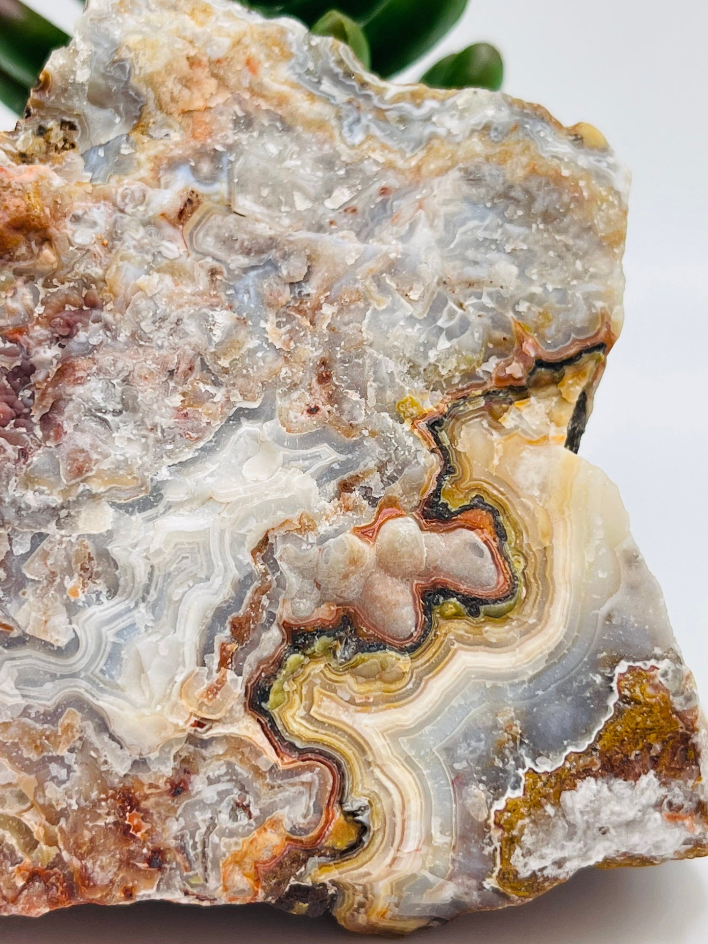 Raw Rincon Lace Agate