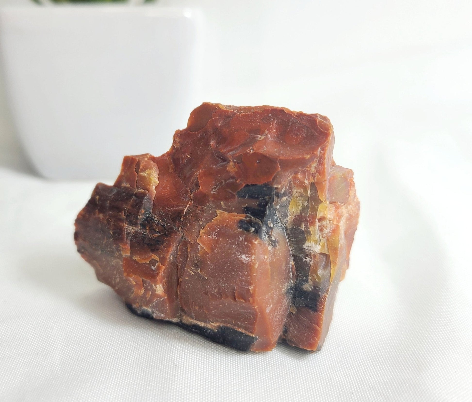 Raw Arizona Petrified Rainbow Wood - Earth's Emporium