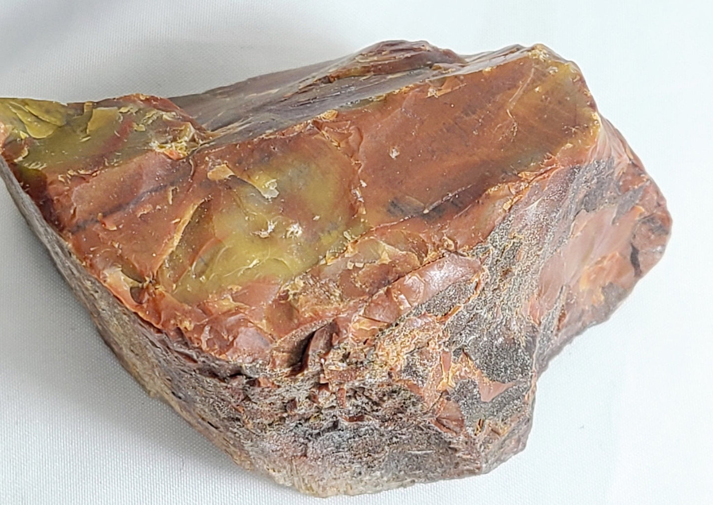 Raw Arizona Rainbow Petrified Wood - Earth's Emporium