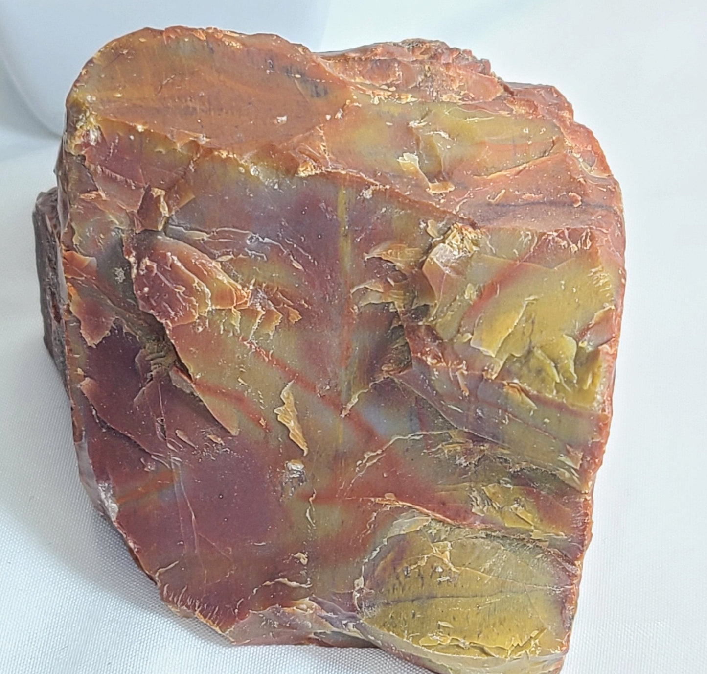 Raw Arizona Rainbow Petrified Wood - Earth's Emporium