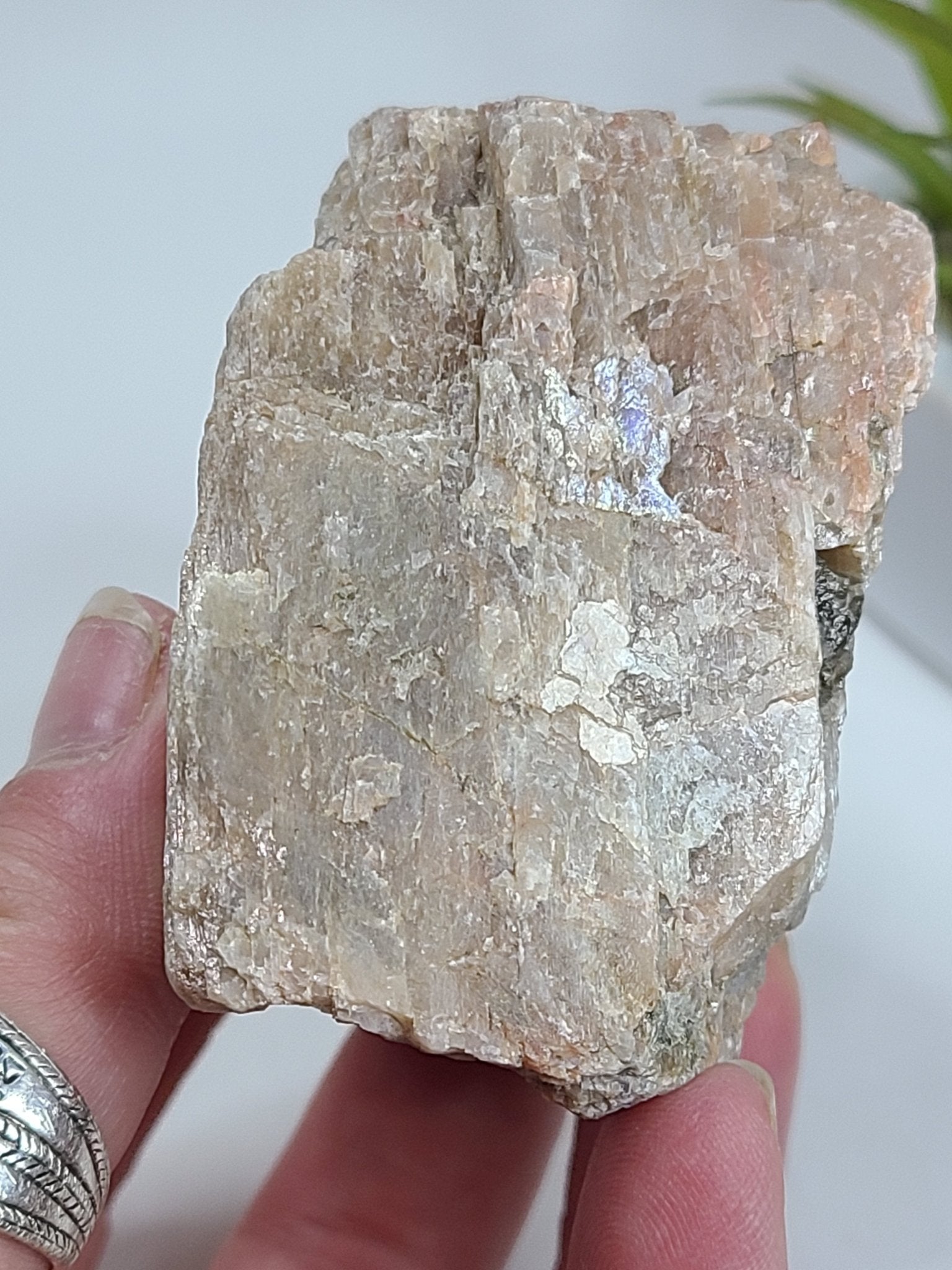 Raw Moonstone - Earth's Emporium