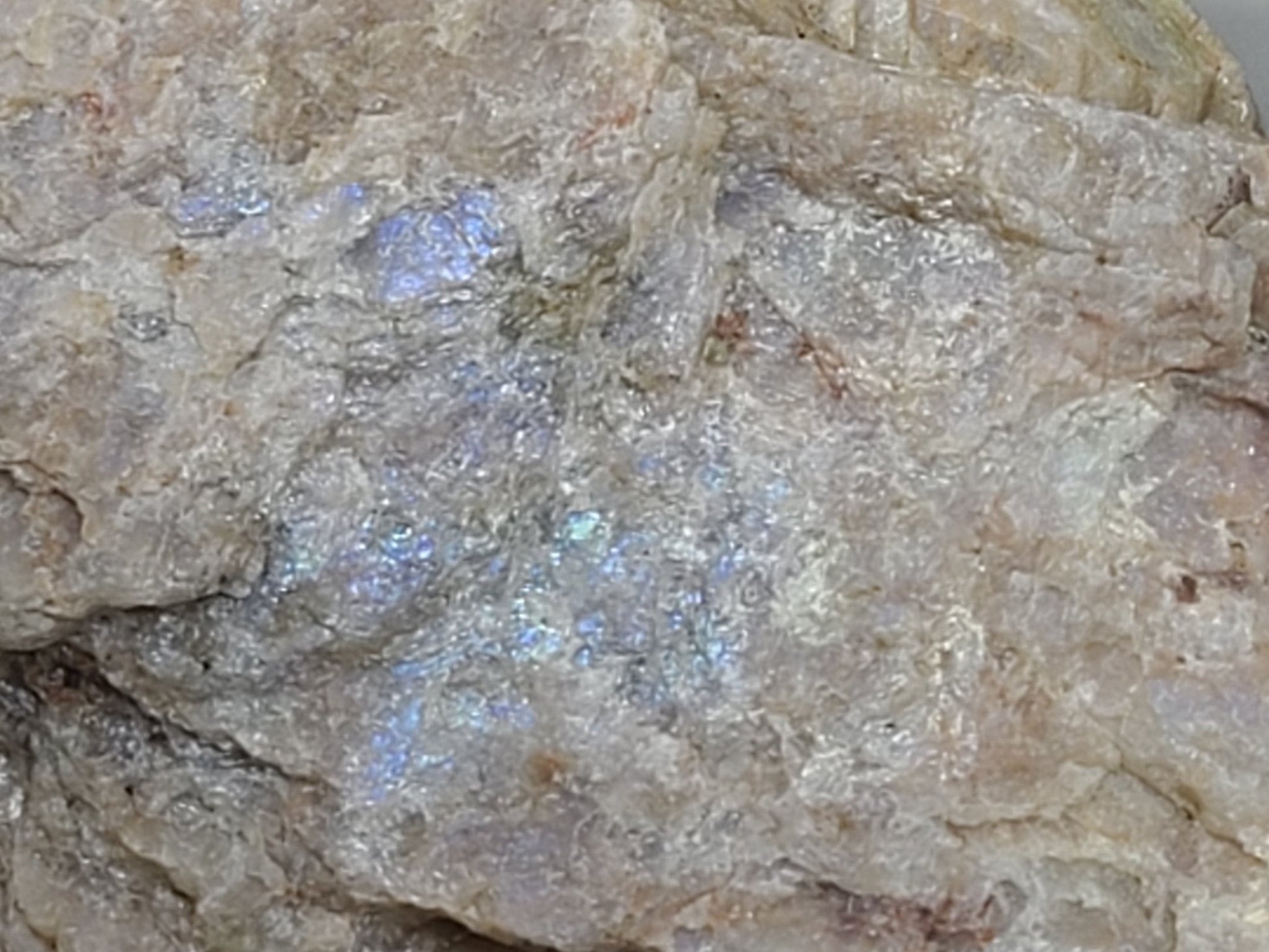 Raw Moonstone - Earth's Emporium