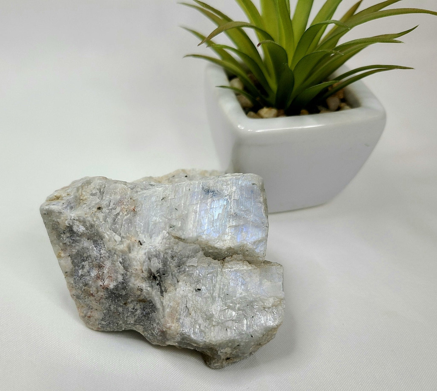 Raw Moonstone - Earth's Emporium