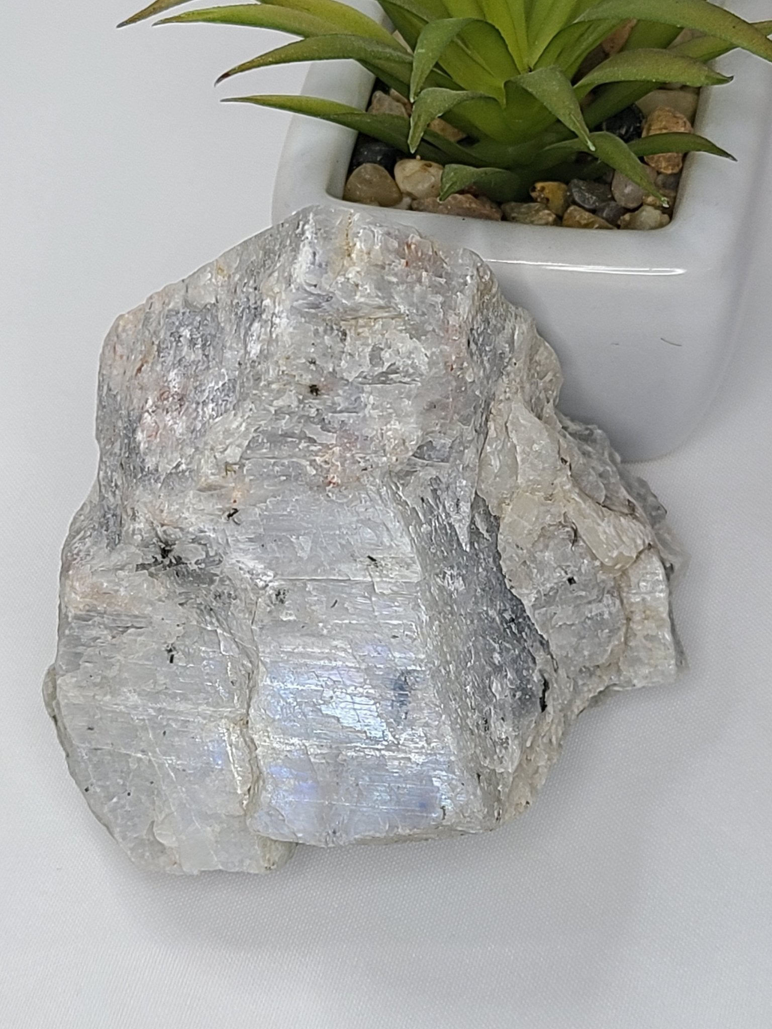 Raw Moonstone - Earth's Emporium