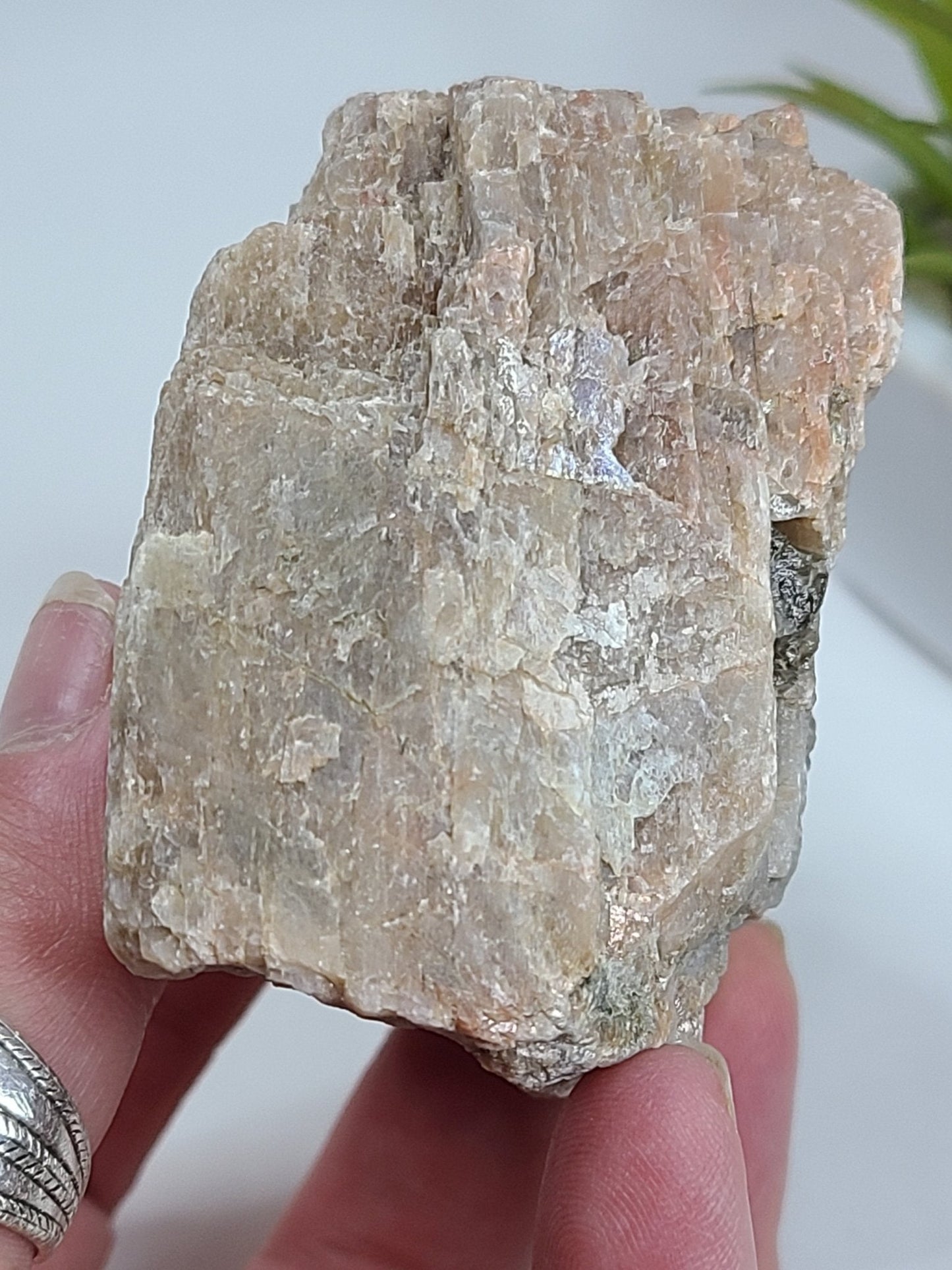 Raw Moonstone - Earth's Emporium