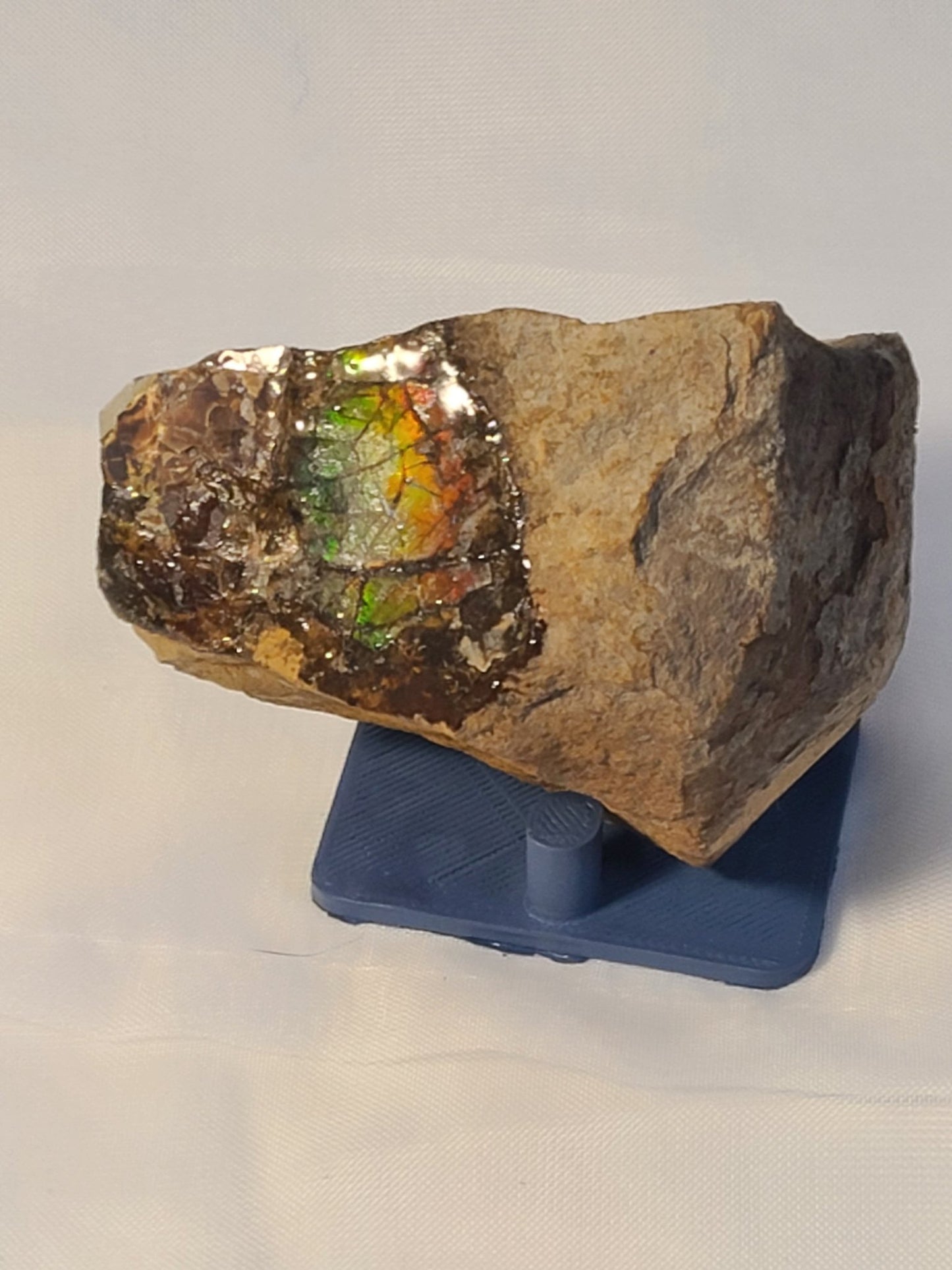 Ammolite and Stand - Earth's Emporium
