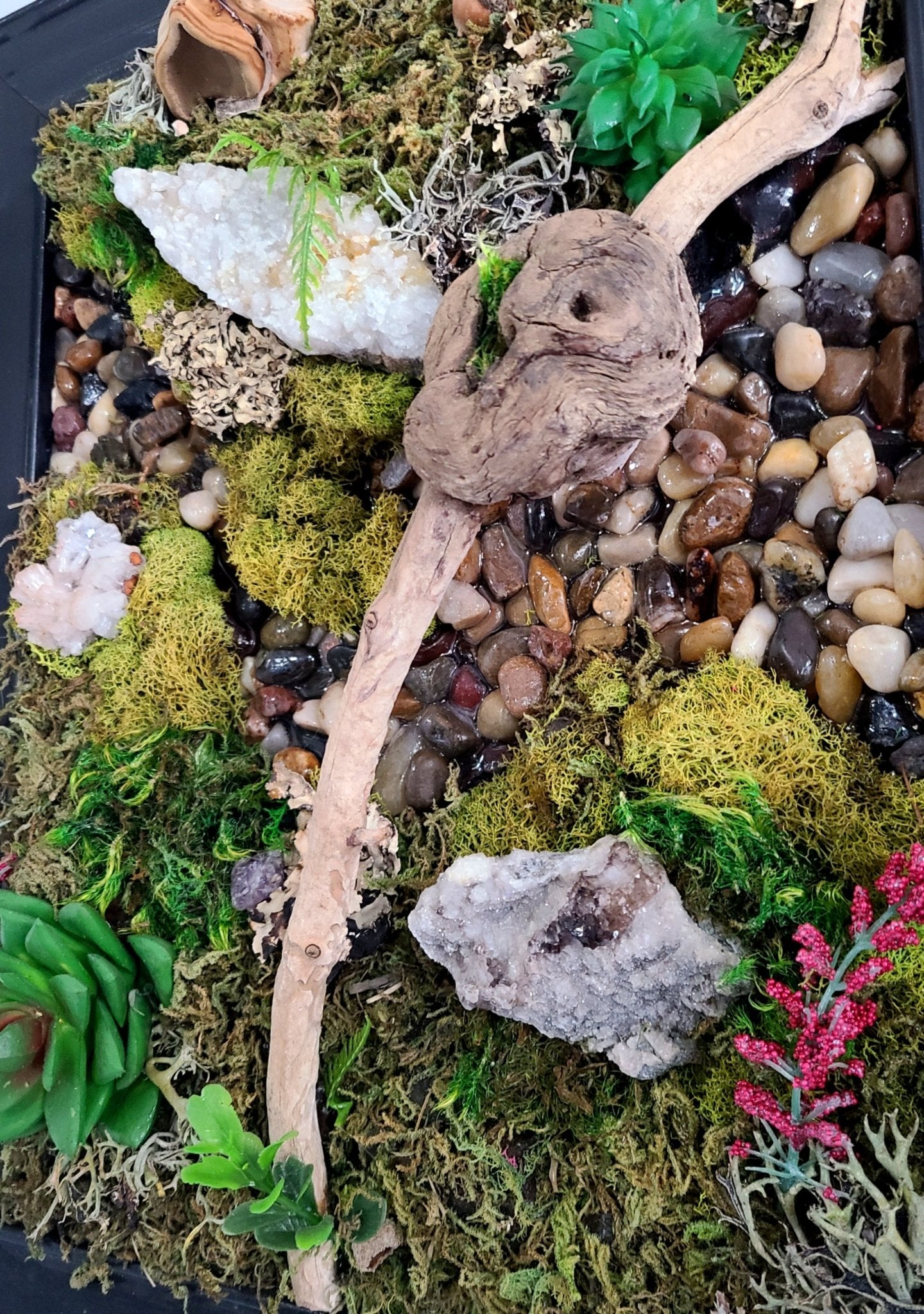 Fairy Wishes : Biophilic Moss Art - Earth's Emporium