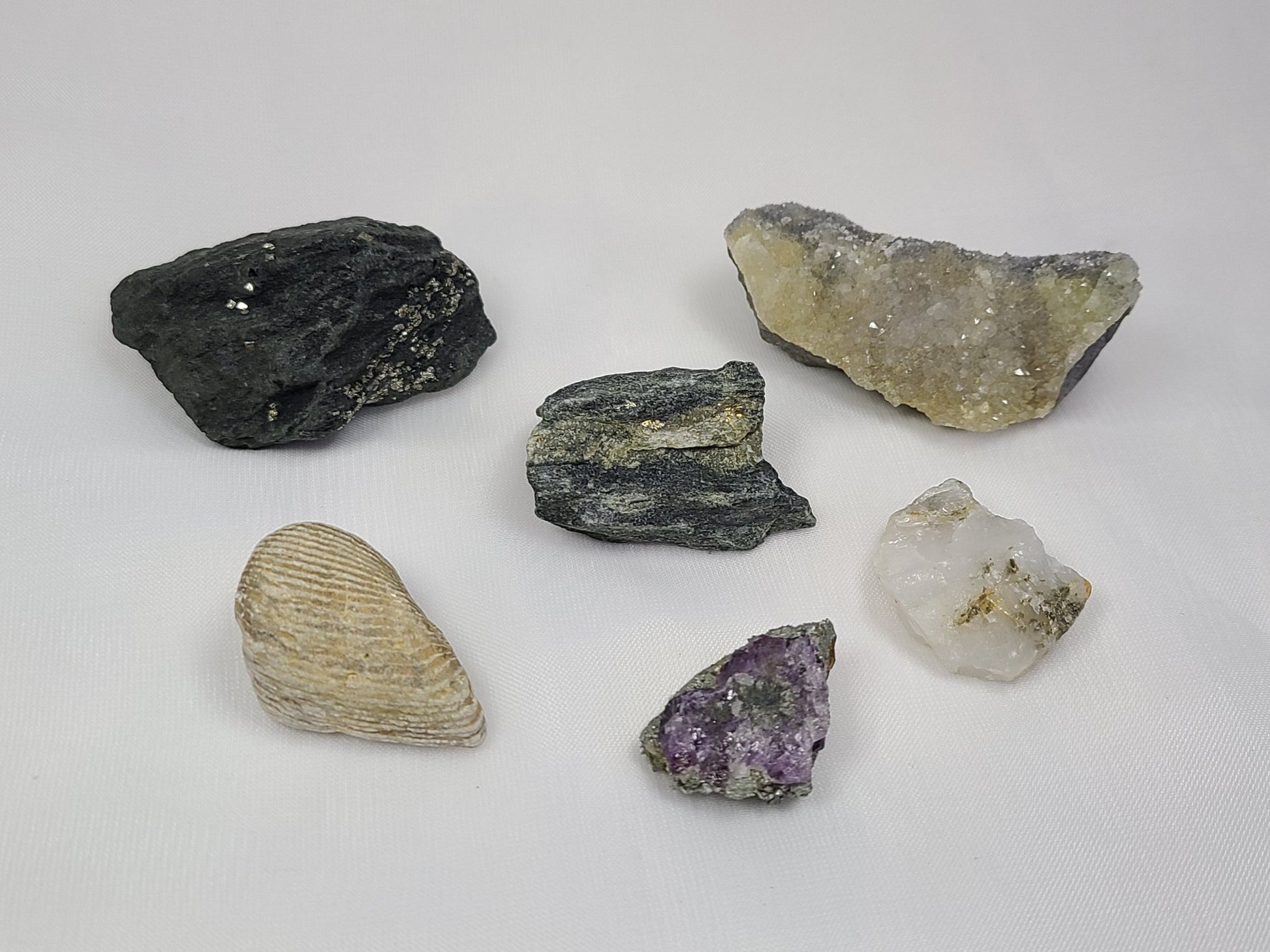 Lot of 6: Amethyst/Citrine/Serpentine/Pyrite/Fossil/Tourmaline - Earth's Emporium